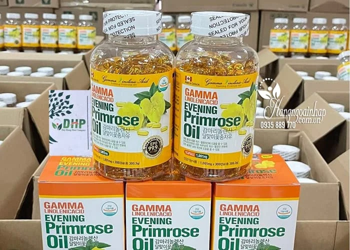 Thực phẩm chức năng Tinh dầu hoa anh thảo Hàn Quốc Gamma Linolenic Acid 300