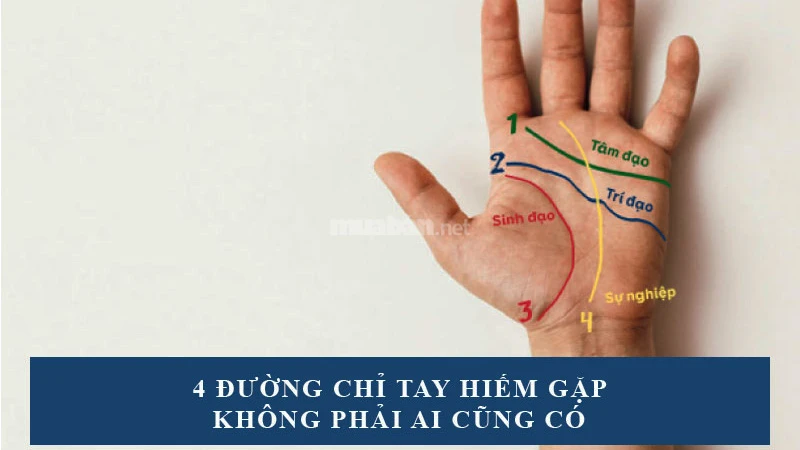 Ý nghĩa 4 đường chỉ tay hiếm gặp chỉ có ở người định sẵn số phú quý
