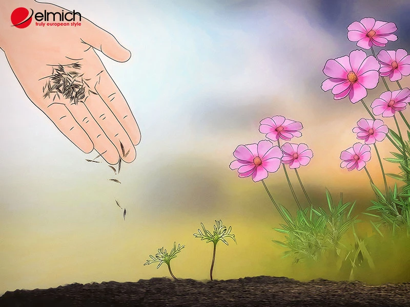 Hoa cánh bướm - Loài hoa mang ý nghĩa về sự bình yên và nhẹ nhàng