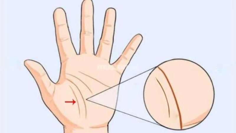 Ý nghĩa 4 đường chỉ tay hiếm gặp chỉ có ở người định sẵn số phú quý