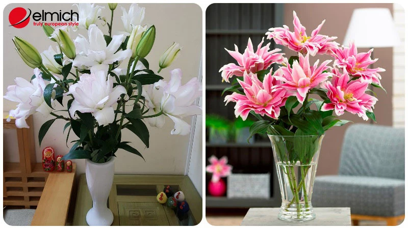 Hoa ly - ý nghĩa phong thủy và cách chọn màu hoa hợp mệnh