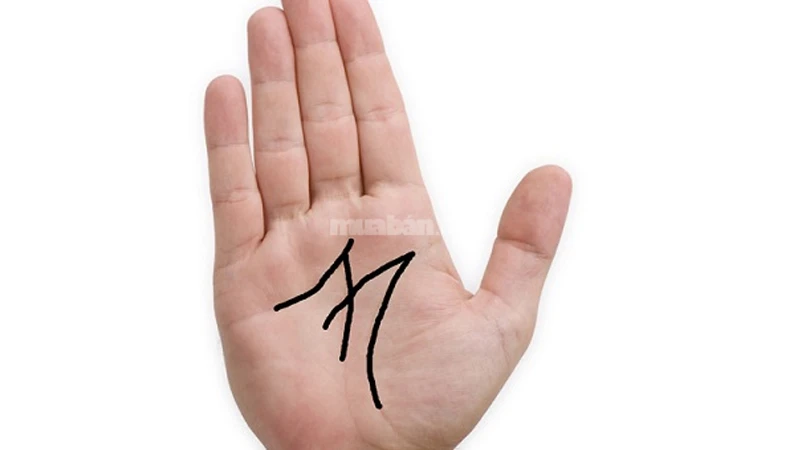 Ý nghĩa 4 đường chỉ tay hiếm gặp chỉ có ở người định sẵn số phú quý
