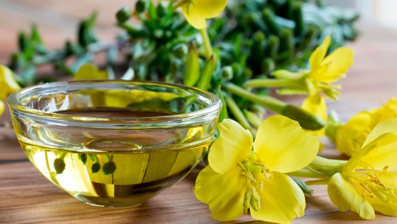 Tinh dầu hoa anh thảo uống sáng hay tối để hiệu quả?