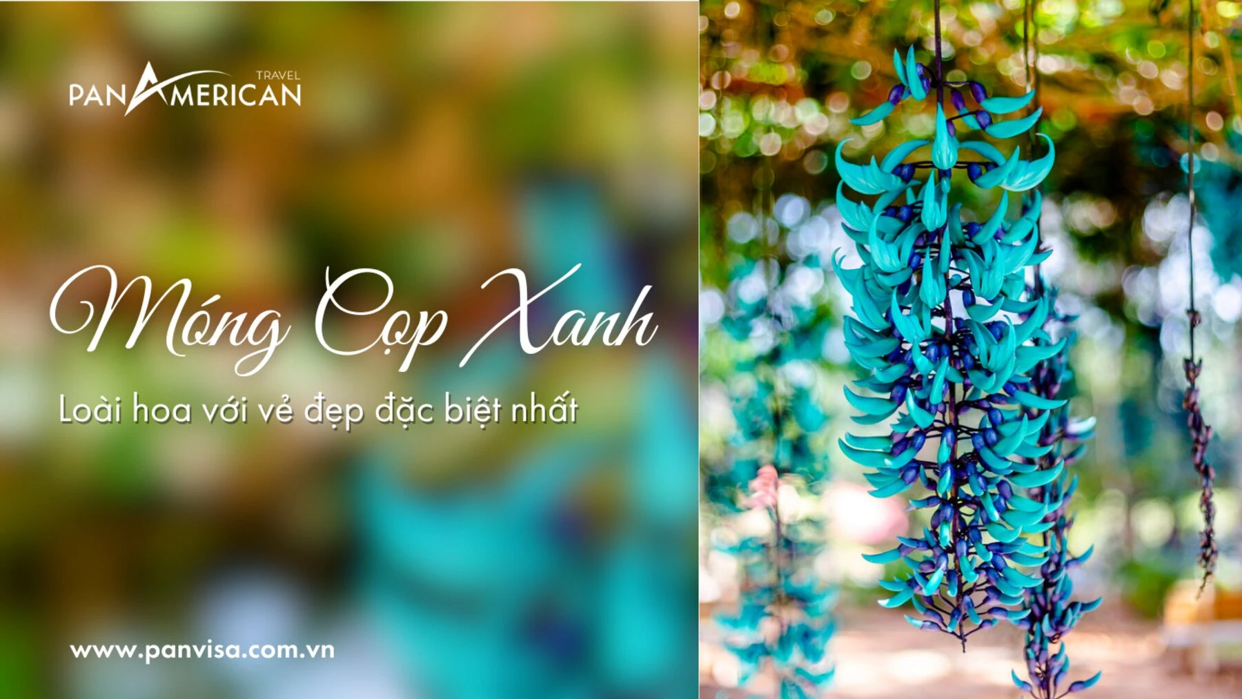 Top 15 loài hoa đẹp nhất thế giới
