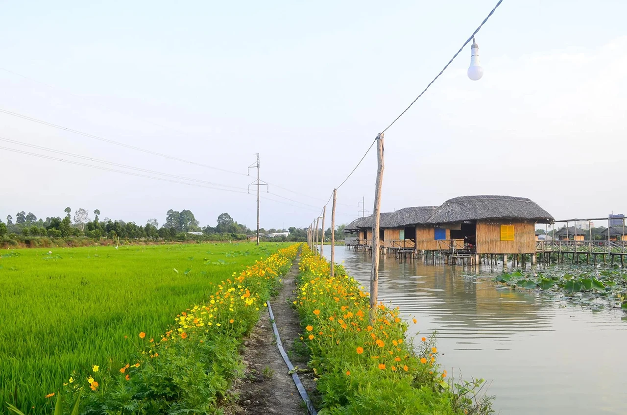 Du lịch Miền Tây 4 Ngày 3 Đêm từ TP Hồ Chí Minh