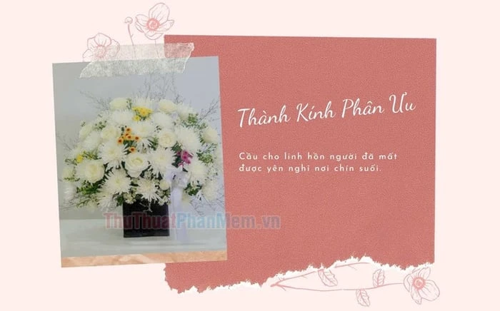 Ý nghĩa đặc biệt của đám tang lễ hoa sen đen tại Việt Nam