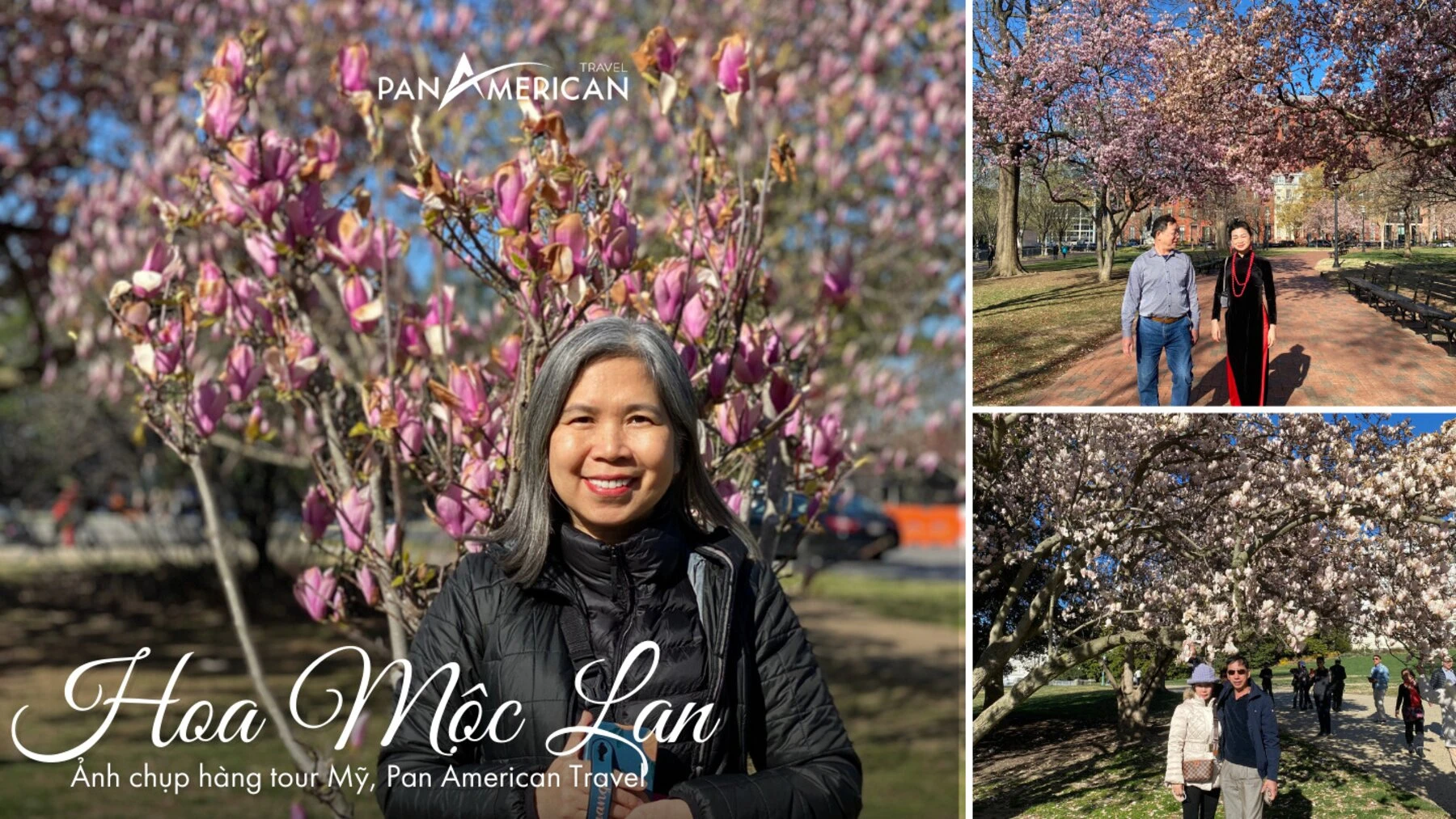 Top 15 loài hoa đẹp nhất thế giới