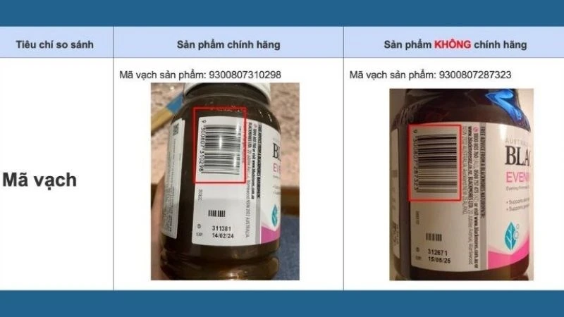 Giới thiệu tinh dầu hoa anh thảo Blackmores mua ở đâu, có tốt không?