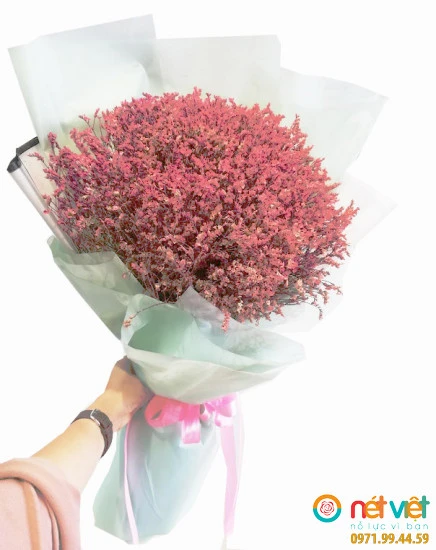 Sự Quyến Rũ Của Hoa Sao Trong Không Gian Sống