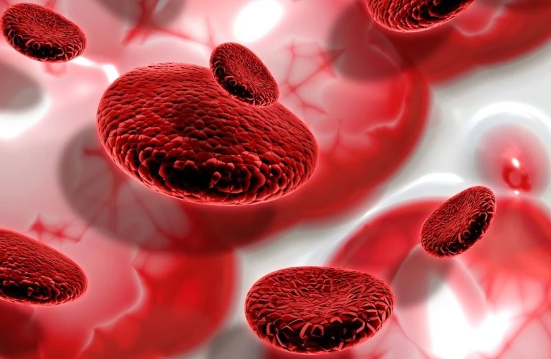 Vết bầm tím trên da không rõ nguyên nhân: Dấu hiệu cảnh báo bệnh lý