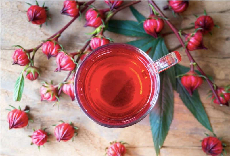 Hoa Atiso đỏ: Thông tin về tác dụng và lưu ý khi sử dụng