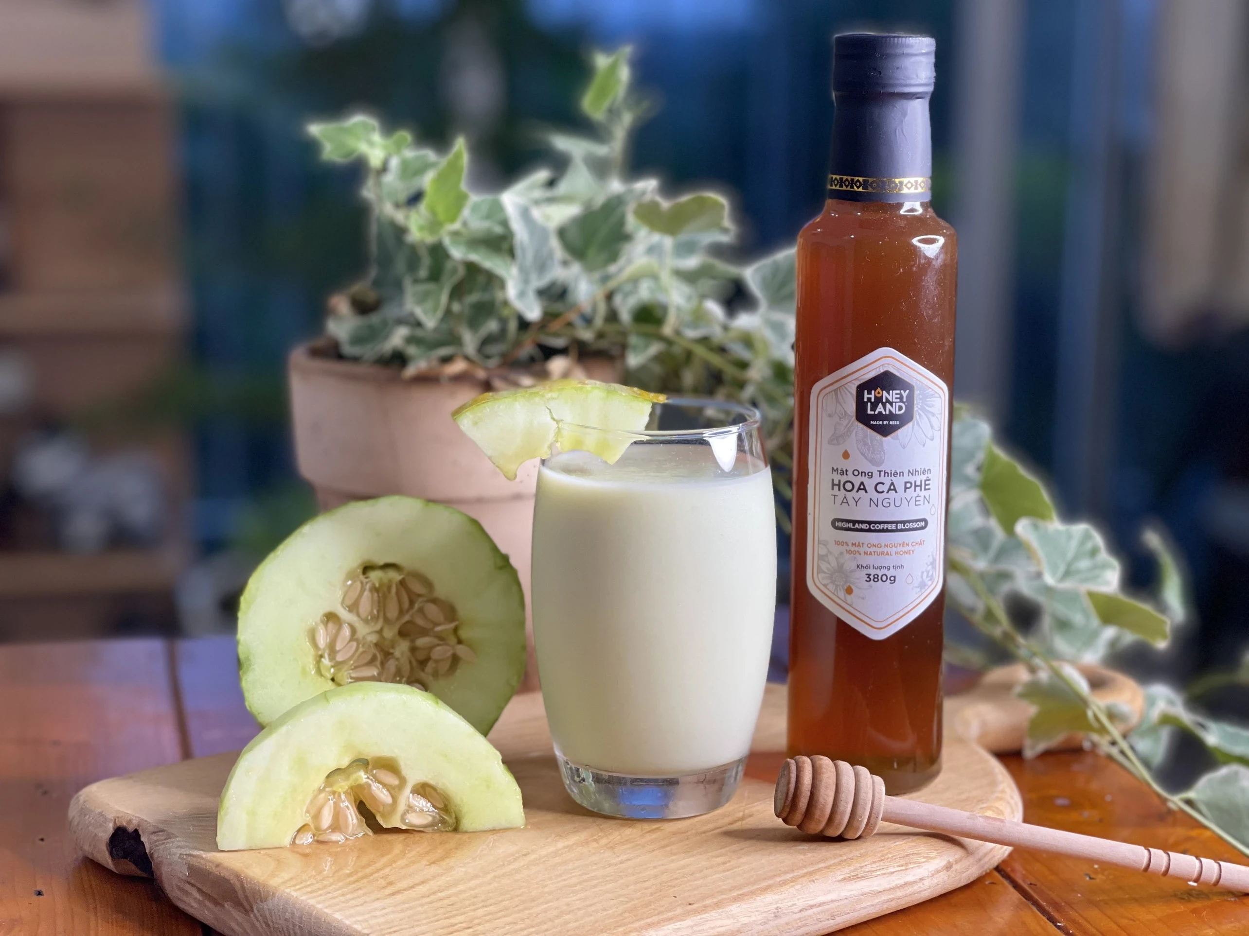 5 Lợi Ích Của Mật Ong Hoa Cà Phê Đối Với Sức Khỏe