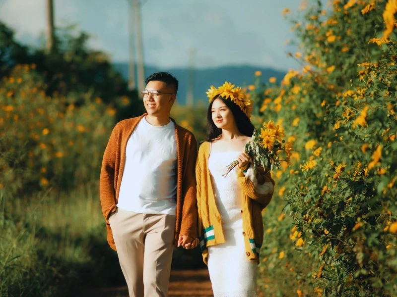 7 địa điểm ngắm hoa dã quỳ Đà Lạt đẹp nhất năm 2024