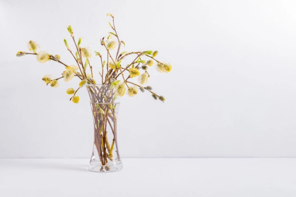 Cách Cắm Hoa Thanh Liễu Đơn Giản Và Đẹp Mắt Nhất