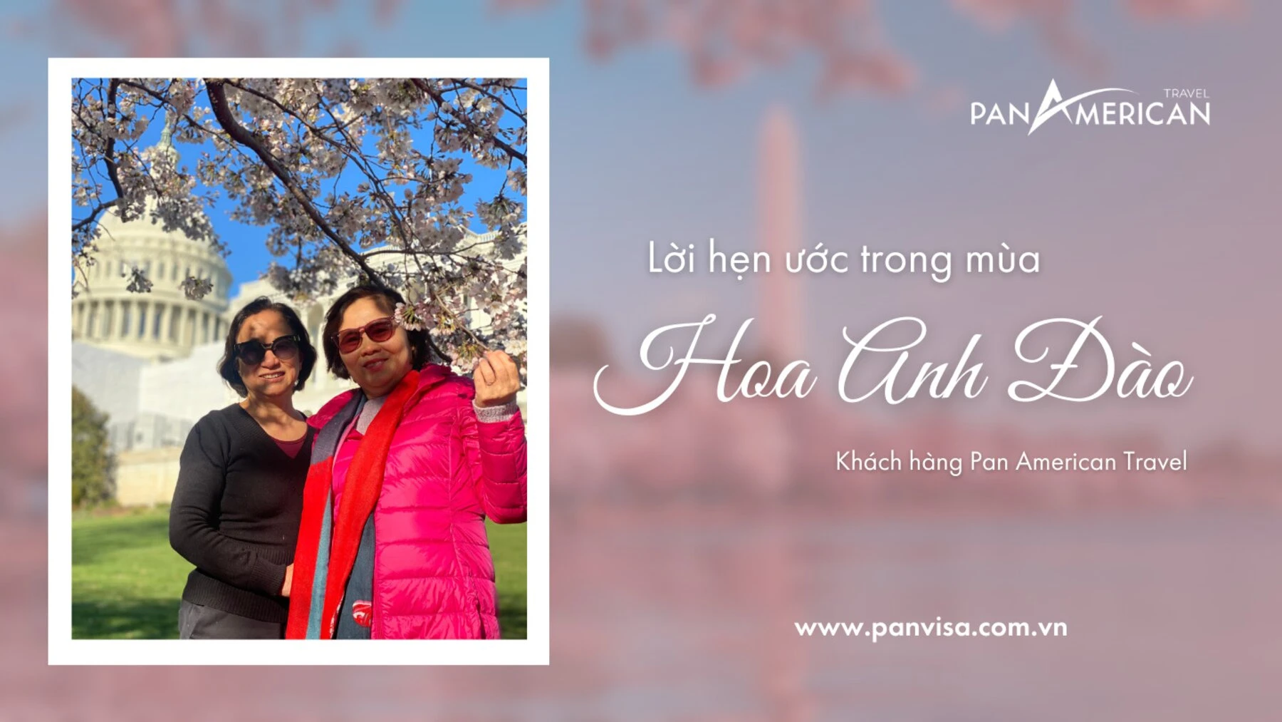 Top 15 loài hoa đẹp nhất thế giới