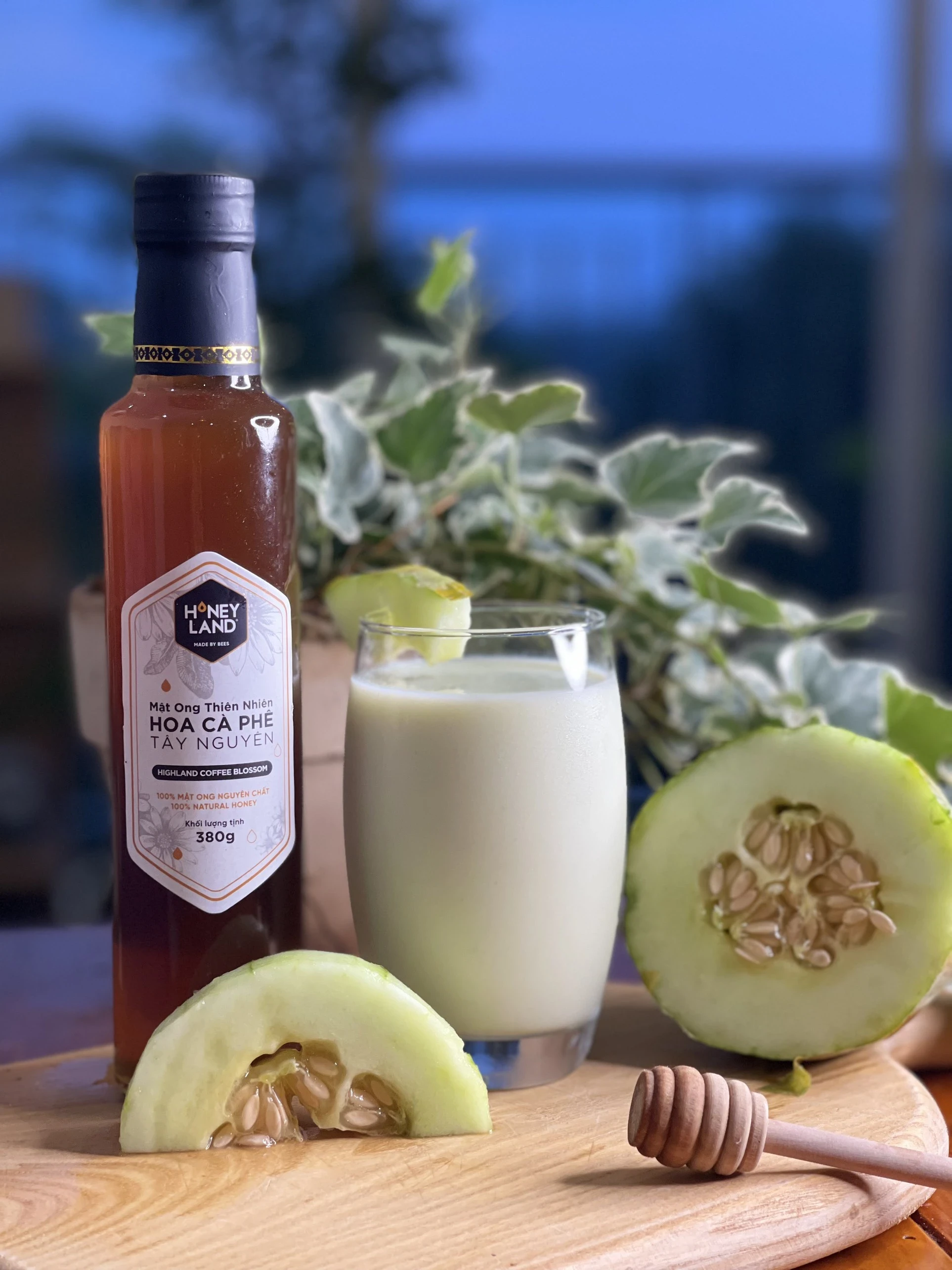 5 Lợi Ích Của Mật Ong Hoa Cà Phê Đối Với Sức Khỏe