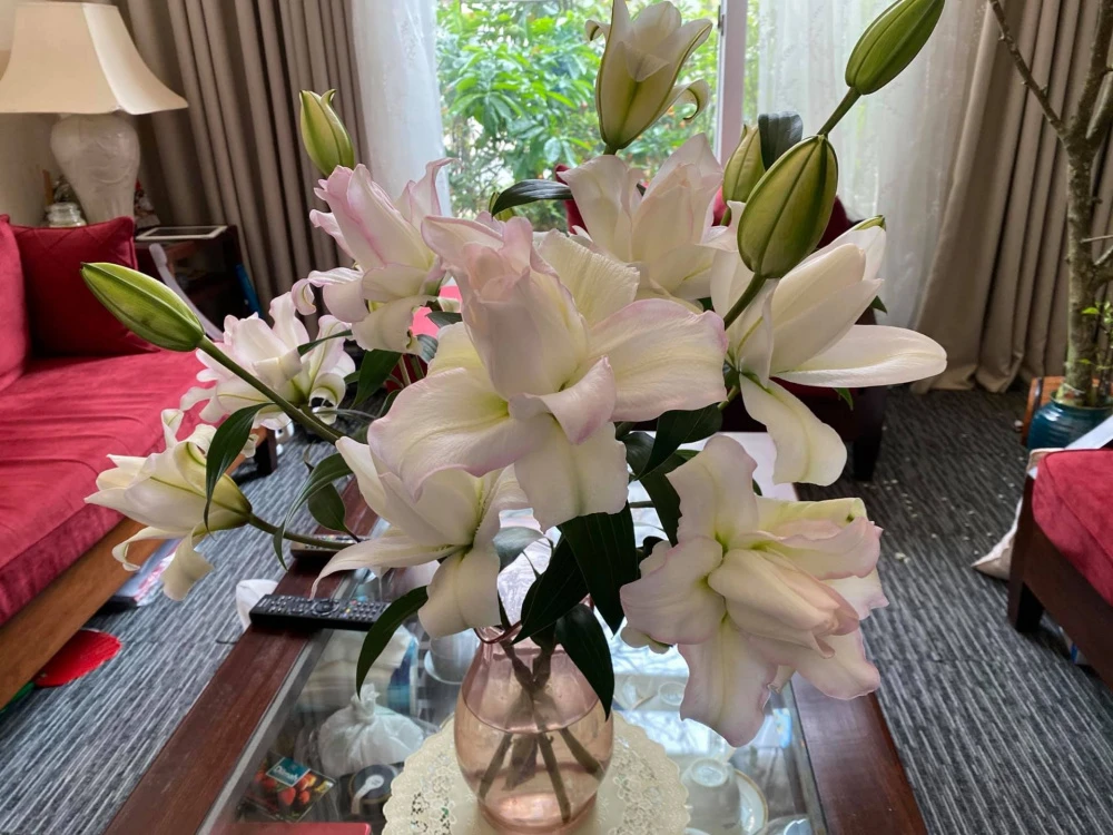 Hoa ly trắng mang ý nghĩa gì?