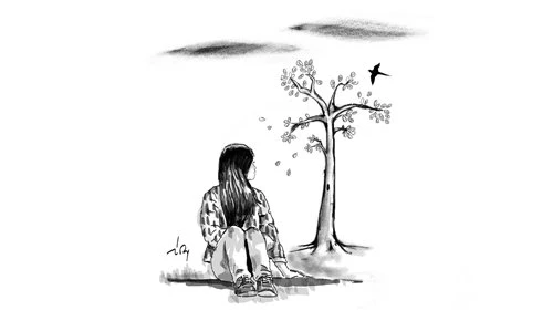 Khám Phá Hành Trình Con Đông Tây Nam Bắc