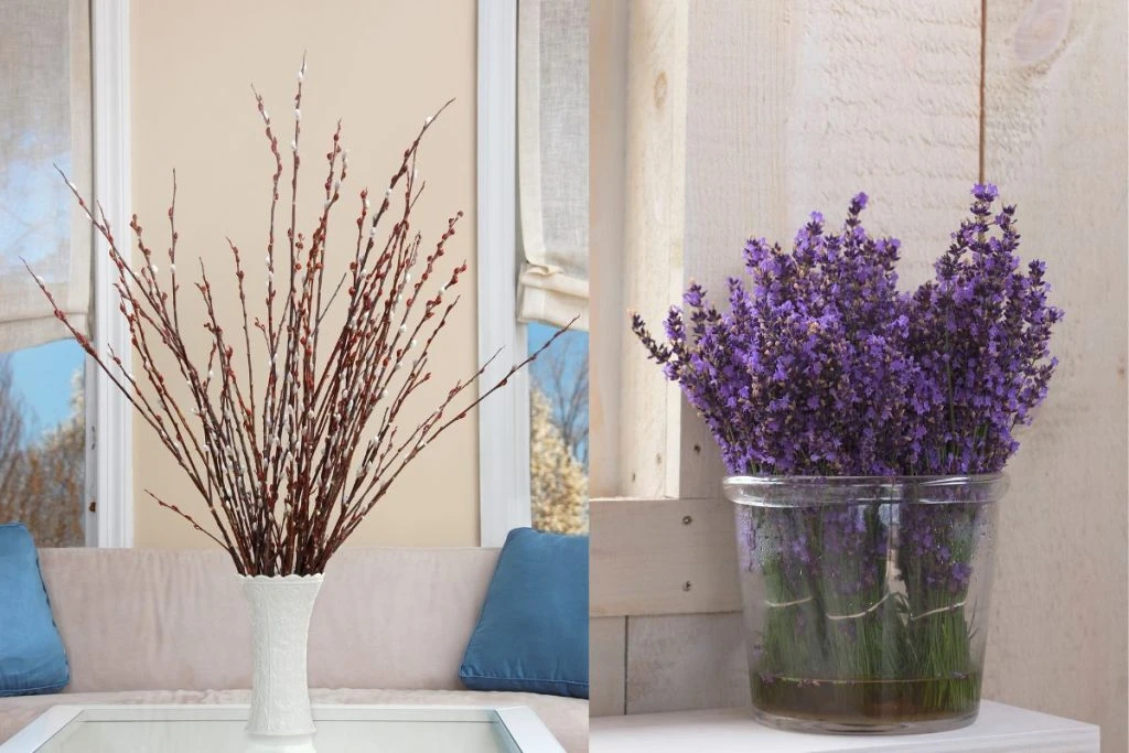 Cách Cắm Hoa Thanh Liễu Đơn Giản Và Đẹp Mắt Nhất