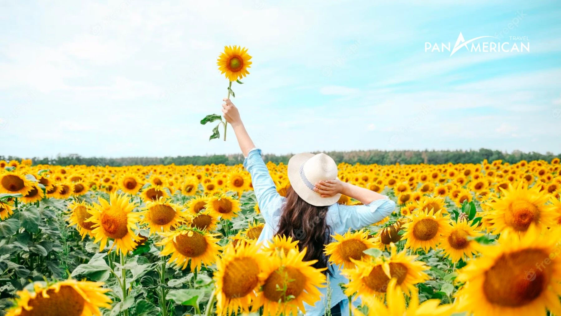 Top 15 loài hoa đẹp nhất thế giới