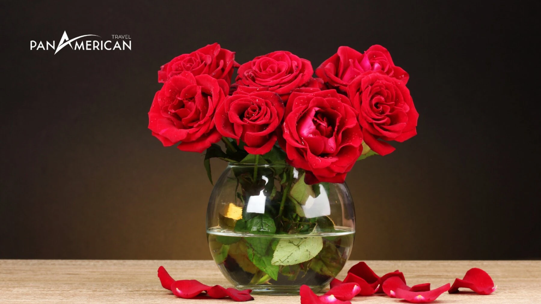 Top 15 loài hoa đẹp nhất thế giới