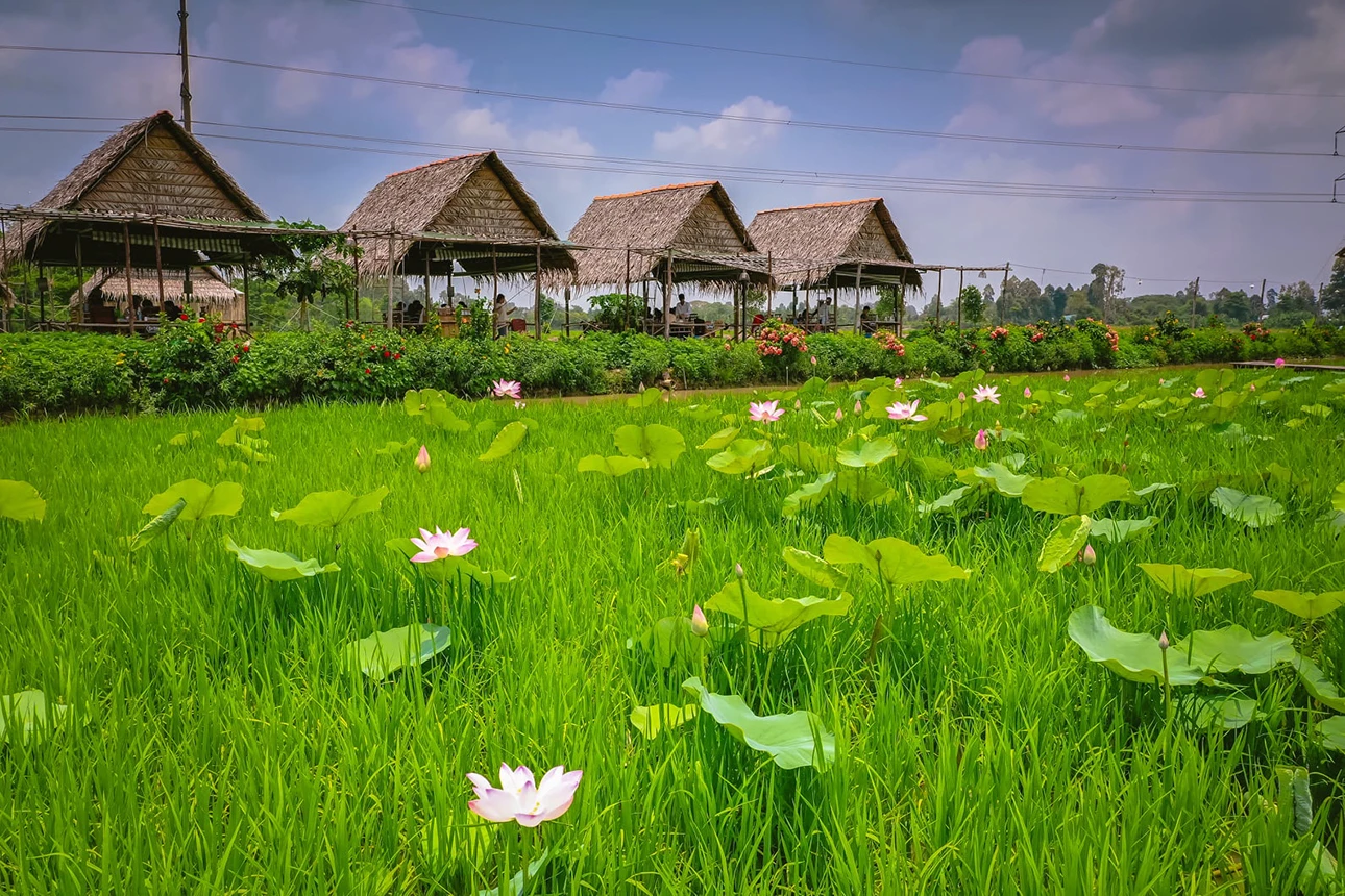 Du lịch Miền Tây 4 Ngày 3 Đêm từ TP Hồ Chí Minh