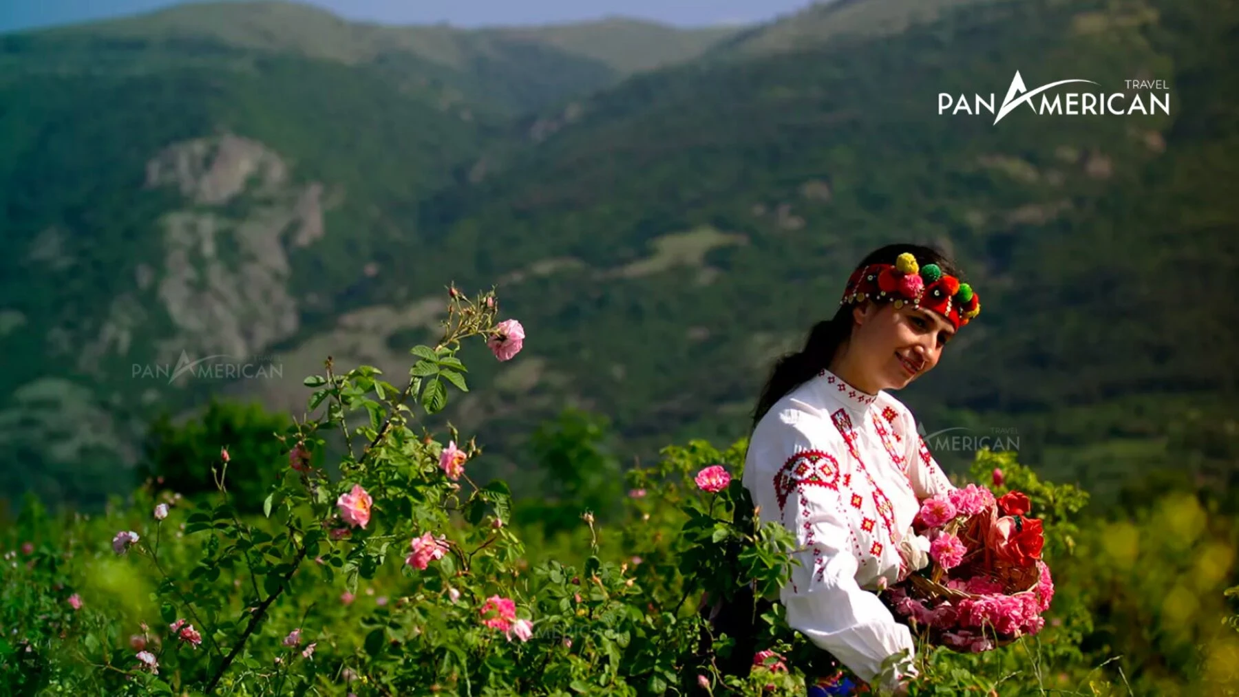 Top 15 loài hoa đẹp nhất thế giới