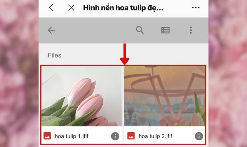 Những hình nền hoa đẹp cho iPhone ấn tượng nhất