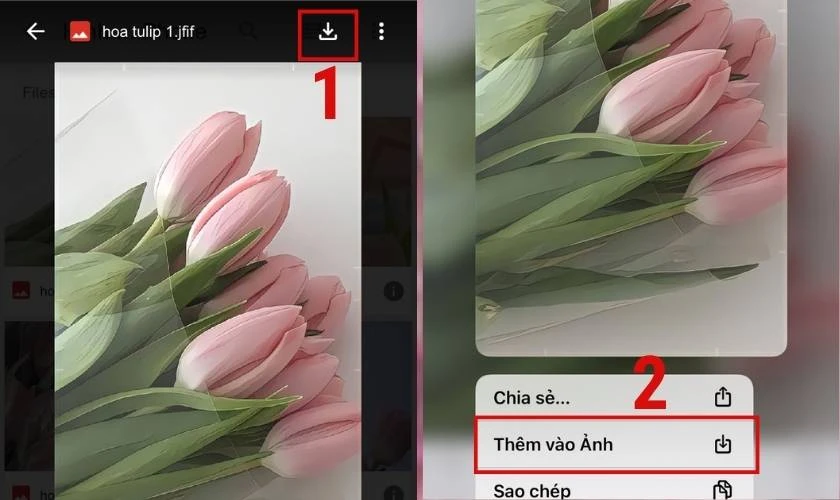 Top những hình nền hoa đẹp cho iPhone siêu lung linh