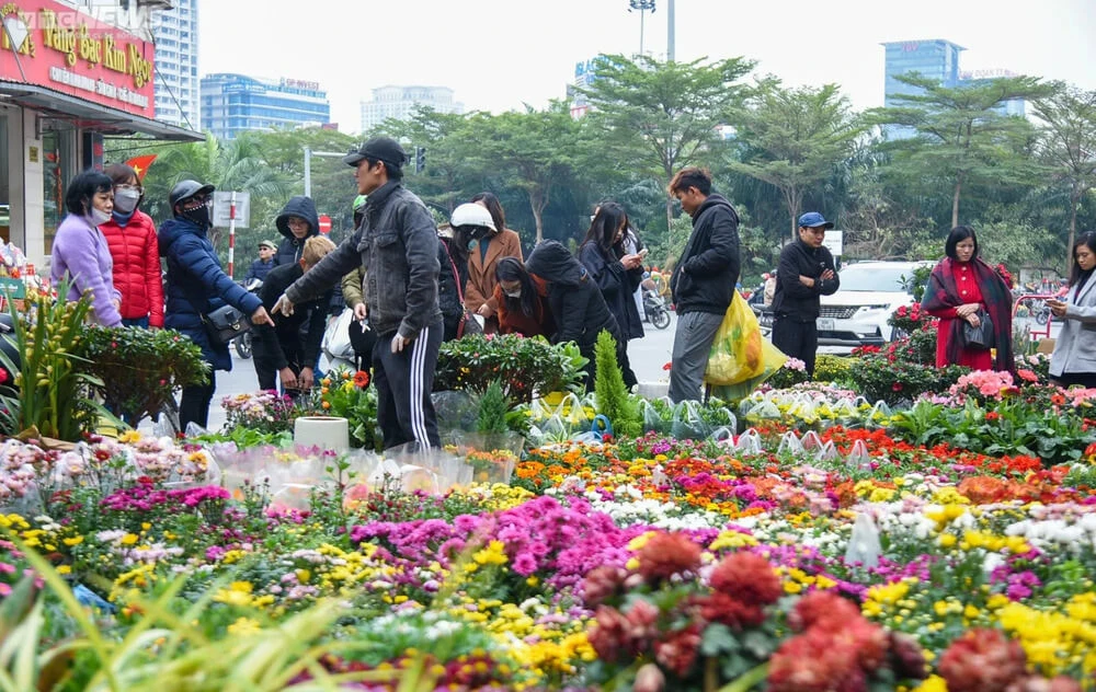 7 khu chợ hoa nổi tiếng Sài Gòn cho bạn du xuân dịp Tết