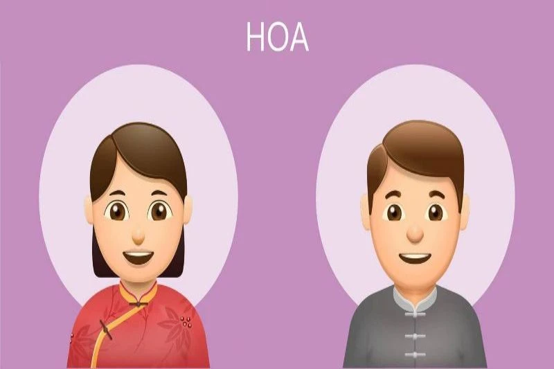 Dân tộc Hoa và sự đóng góp vào văn hóa Việt Nam
