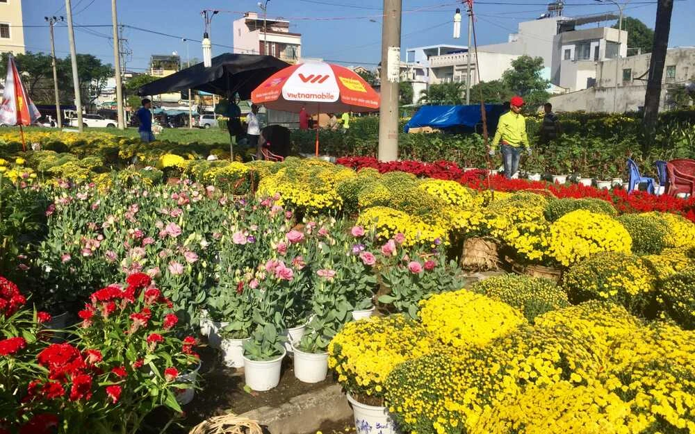 7 khu chợ hoa nổi tiếng Sài Gòn cho bạn du xuân dịp Tết
