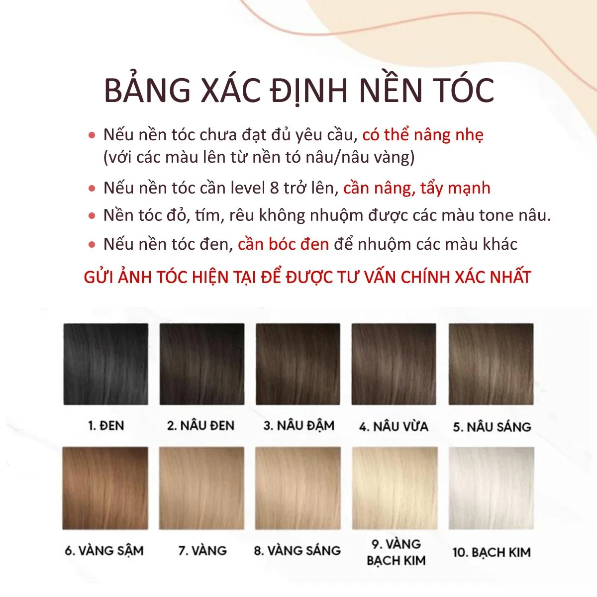 Thuốc Nhuộm Tóc Dạng Tuýp Màu Bạch Kim (Cần Tẩy) Damask - Mỹ Phẩm Chính Hãng