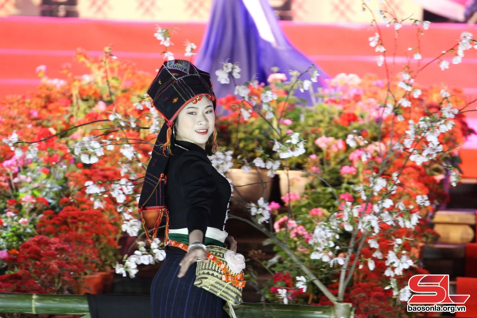 Hoa ban khoe sắc trên phố