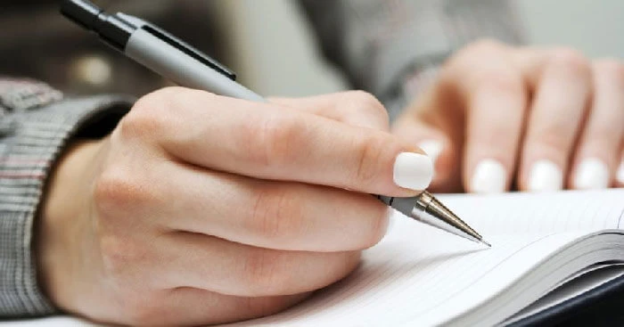 Hội Chợ Hoa Xuân: Sắc Màu Xuân Về Quê Tôi