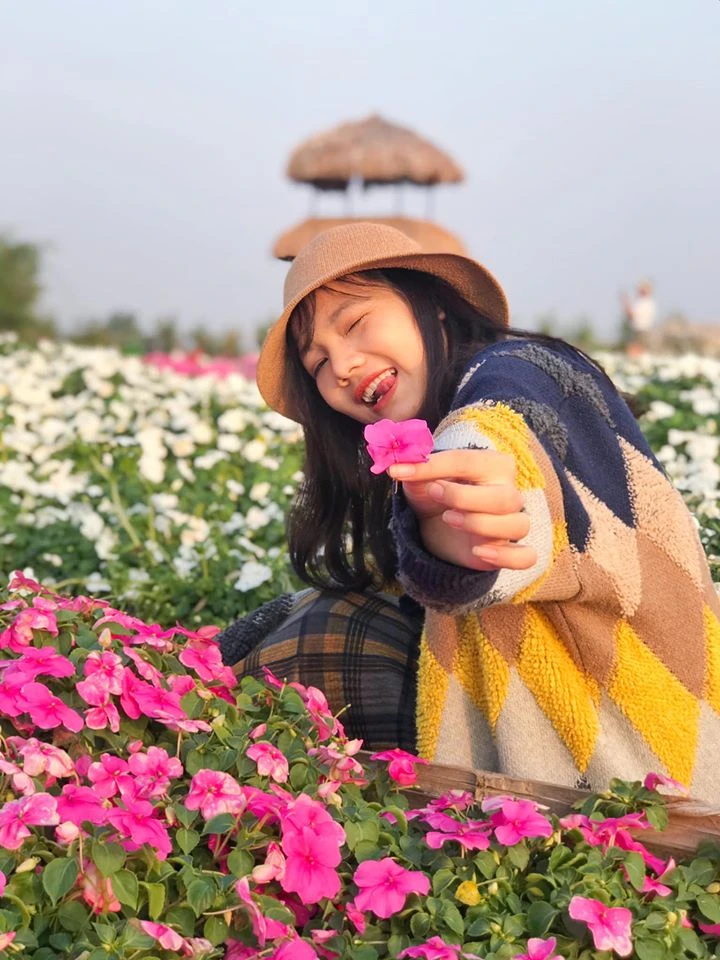 Lên đồ checkin gấp Thung lũng hoa Hồ Tây nở rộ đẹp ngút ngàn