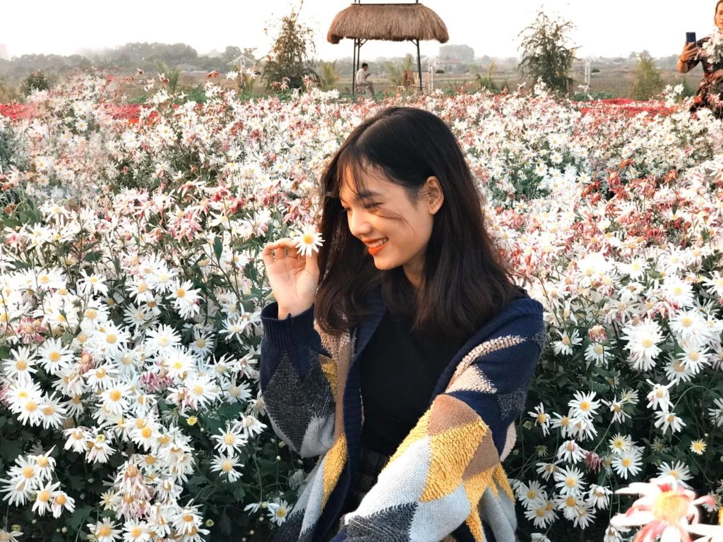 Lên đồ checkin gấp Thung lũng hoa Hồ Tây nở rộ đẹp ngút ngàn