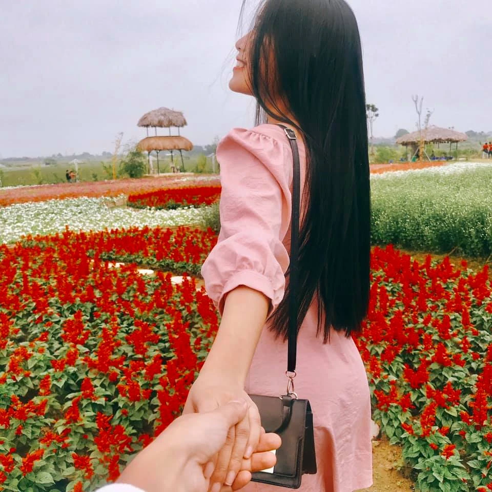 Lên đồ checkin gấp Thung lũng hoa Hồ Tây nở rộ đẹp ngút ngàn