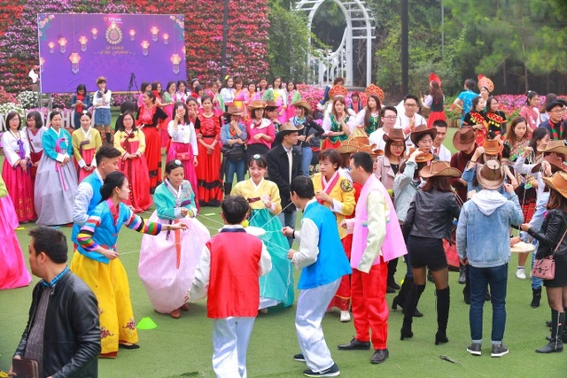 Lên đồ checkin gấp Thung lũng hoa Hồ Tây nở rộ đẹp ngút ngàn