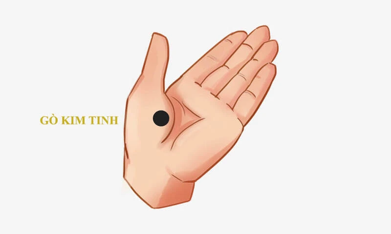 Xem nốt ruồi trong lòng bàn tay phải nữ và ý nghĩa của nó