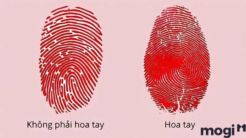 Người không có hoa tay: Hiểu rõ về tương lai của bạn