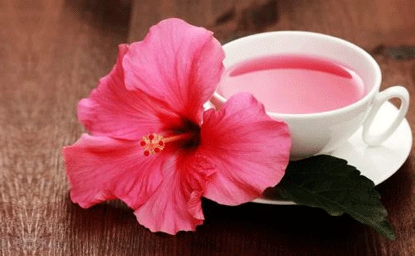 Ý Nghĩa Loài Hoa Râm Bụt - Saigon Roses Blog