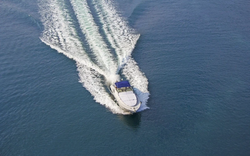 Hoa tiêu là gì? Những trường hợp phải sử dụng hoa tiêu hàng hải