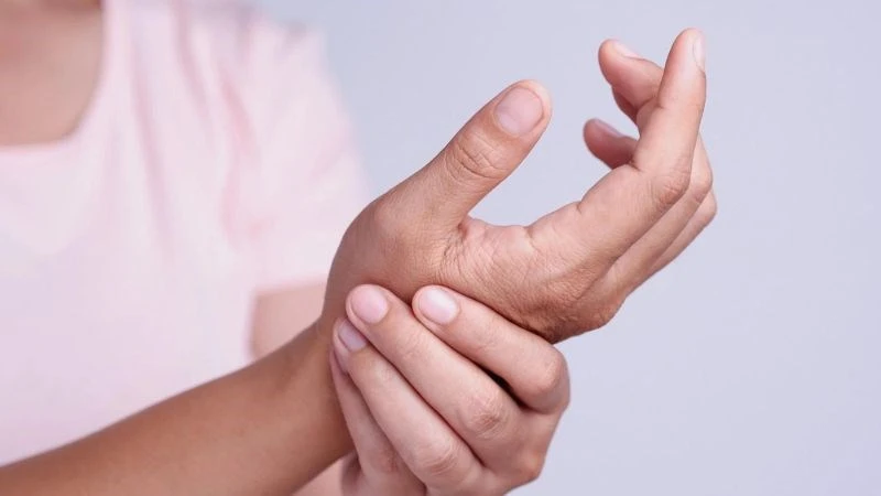 Hoa Cúc tím (Echinacea) là gì? Công dụng và lưu ý khi sử dụng