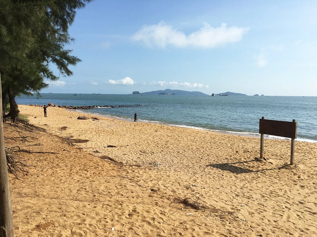 Khám Phá Bãi Đông Thanh Hóa Điểm Đến Du Lịch Tuyệt Vời