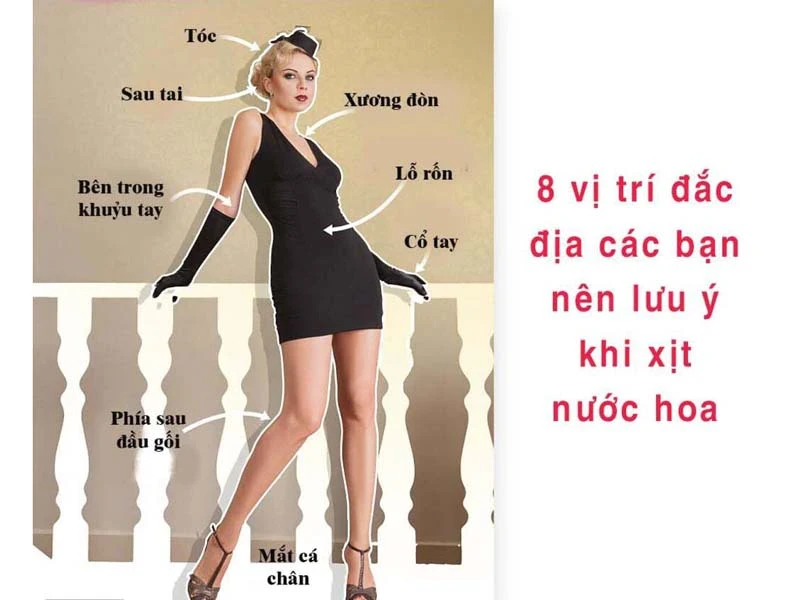 CÁC THÀNH PHẦN NƯỚC HOA LÀ GÌ, TẠI SAO NƯỚC HOA CÓ MÙI THƠM ĐẾN VẬY?