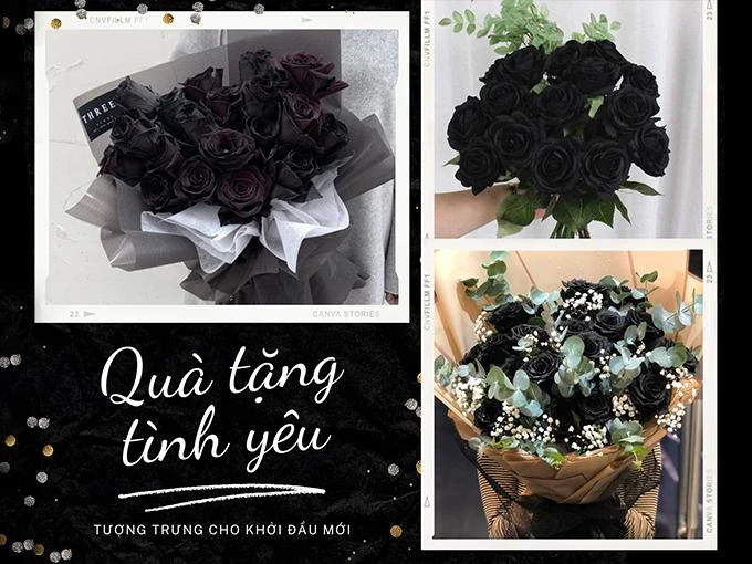 Ý nghĩa hoa hồng đen - loài hoa bí ẩn, hiếm có