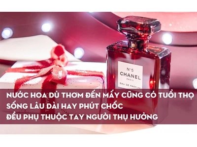 CÁC THÀNH PHẦN NƯỚC HOA LÀ GÌ, TẠI SAO NƯỚC HOA CÓ MÙI THƠM ĐẾN VẬY?
