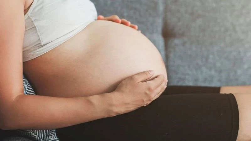 Hoa Cúc tím (Echinacea) là gì? Công dụng và lưu ý khi sử dụng