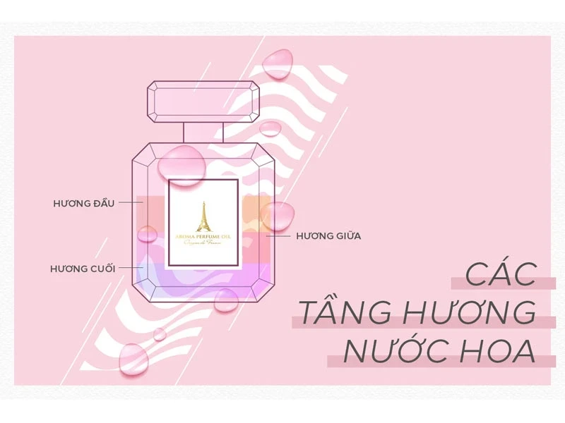 CÁC THÀNH PHẦN NƯỚC HOA LÀ GÌ, TẠI SAO NƯỚC HOA CÓ MÙI THƠM ĐẾN VẬY?